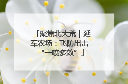 聚焦北大荒｜延军农场：飞防出击 “一喷多效”